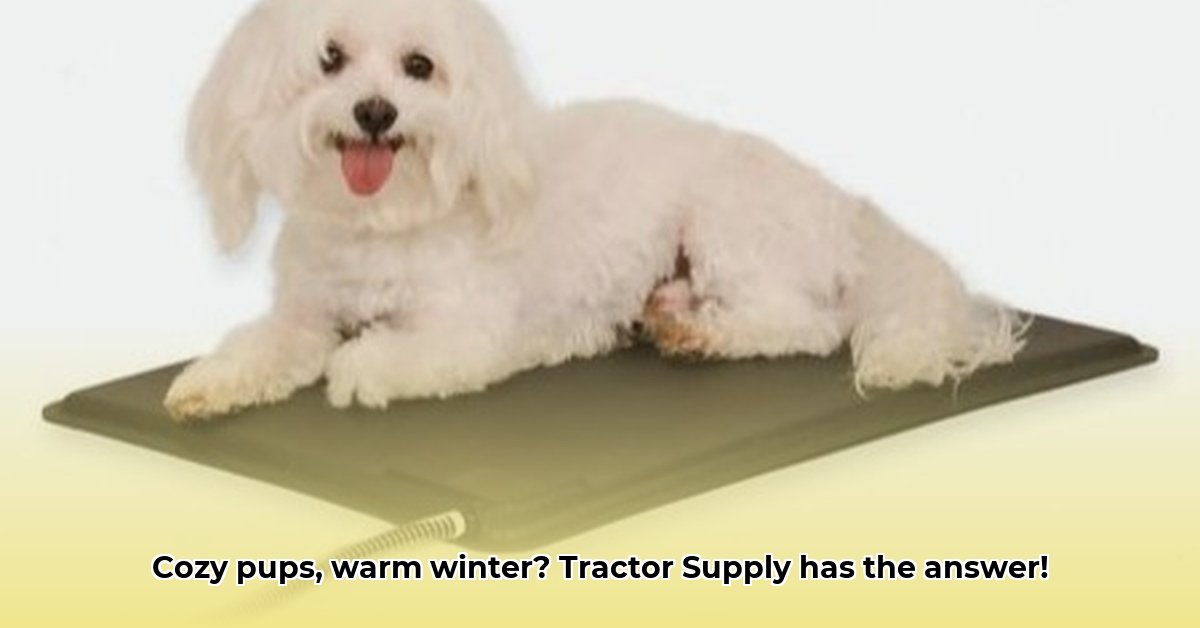 dog-heating-pad-tractor-supply